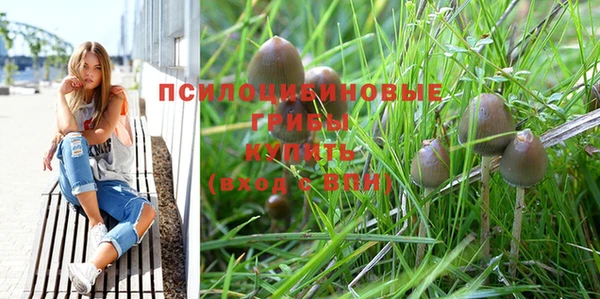 а пвп мука Армянск
