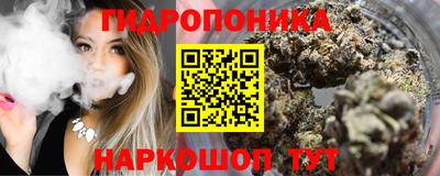 стафф Славянск-на-Кубани