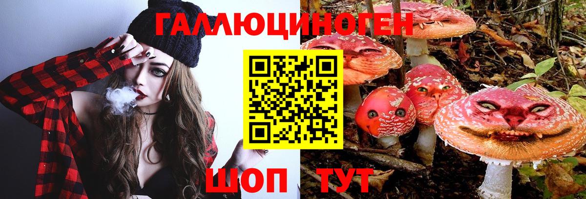 Псилоцибиновые грибы ЛСД Раменское