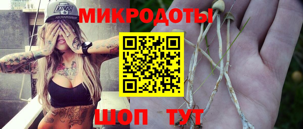 Раменское  Галлюциногенные грибы мухоморы  Вход с VPN 